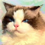 roc_7的头像-VUM星球