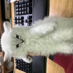 LittleBay201302的头像-VUM星球