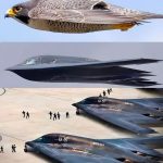 lidecpu的头像-VUM星球